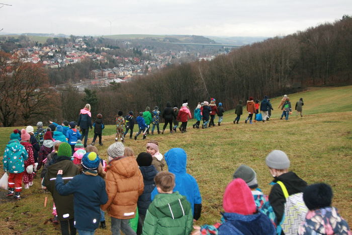 Weihnachtsbäume für die Tiere 1