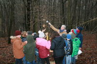 Weihnachtsbäume für die Tiere 2&hellip;