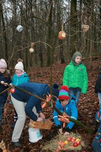 Weihnachtsbäume für die Tiere 3&hellip;